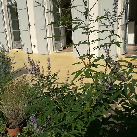 Gite Maison De L'Abbe Sorèze Buitenkant foto